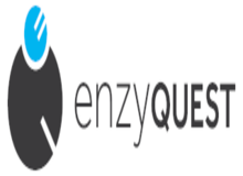 EnzyQuest